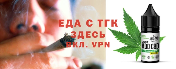 индика Абаза