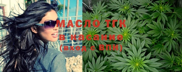 индика Абаза