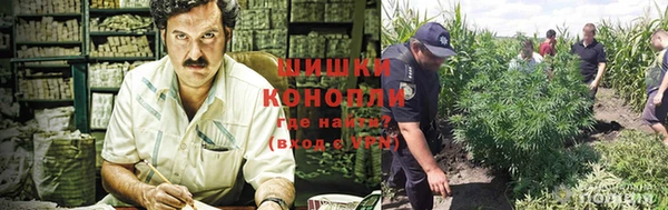 амф Абдулино