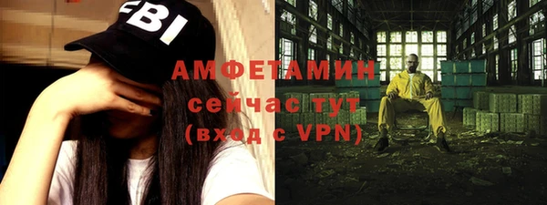 индика Абаза