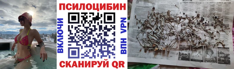 хочу   Зея  мориарти официальный сайт  Галлюциногенные грибы ЛСД  MEGA tor 